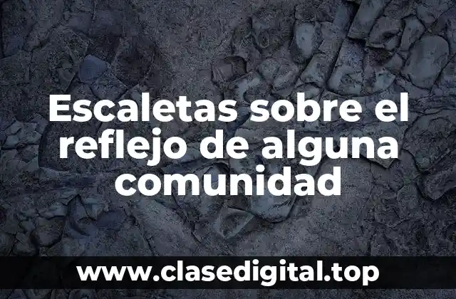 Ejemplos de escaletas sobre el reflejo de alguna comunidad