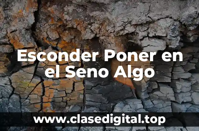 Orígenes de Esconder Poner en el Seno Algo