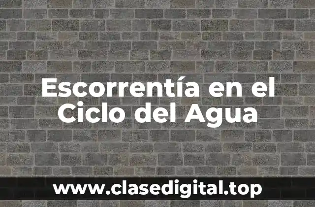 ¿Qué es la Escorrentía en el Ciclo del Agua?