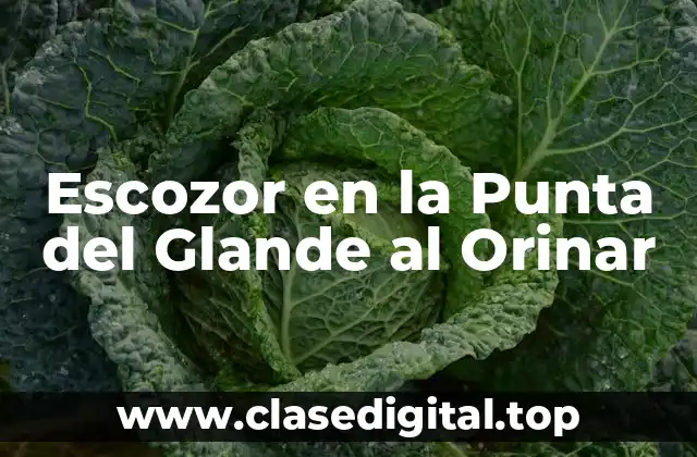 Escozor en la Punta del Glande al Orinar