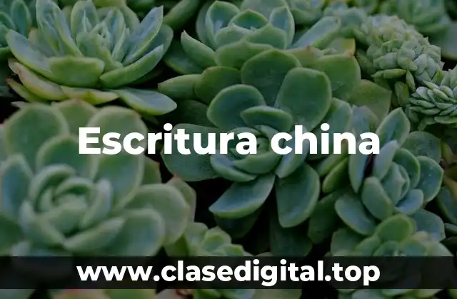 Escritura china