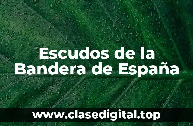 Escudos de la Bandera de España