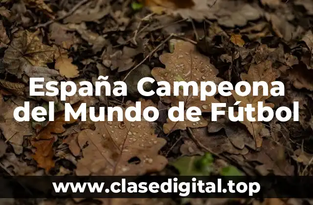 España Campeona del Mundo de Fútbol