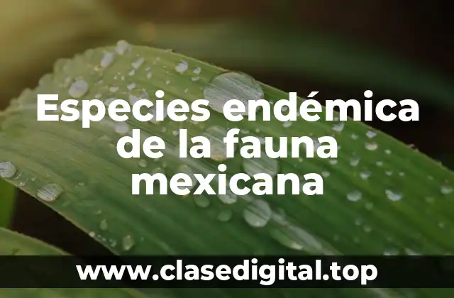 Especies endémica de la fauna mexicana