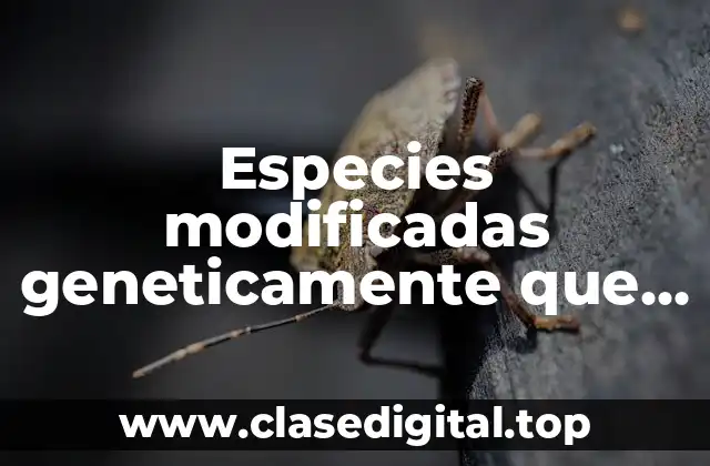 Especies modificadas geneticamente que benefician al ser humano