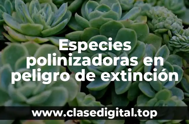 Especies polinizadoras en peligro de extinción