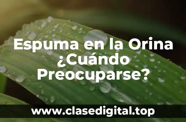 Espuma en la Orina ¿Cuándo Preocuparse?