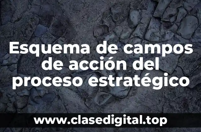 Esquema de campos de acción del proceso estratégico