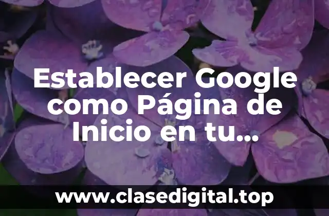 Establecer Google como Página de Inicio en tu Navegador