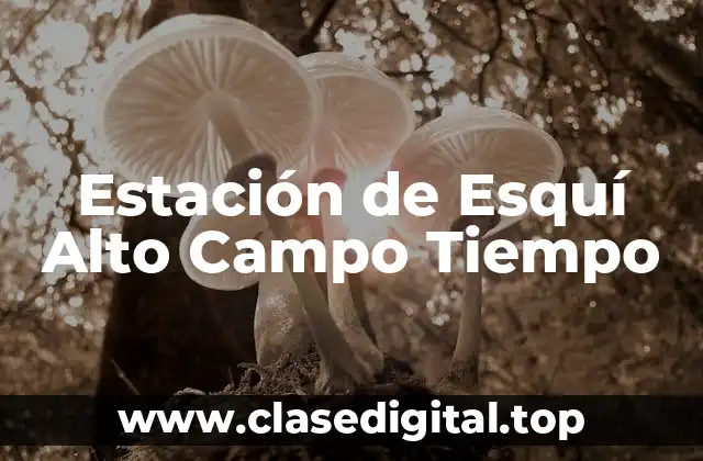 Estación de Esquí Alto Campo Tiempo