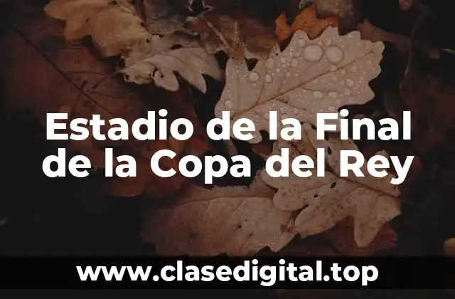 Estadio de la Final de la Copa del Rey