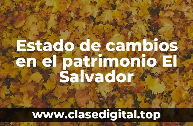 Ejemplos de estado de cambios en el patrimonio El Salvador