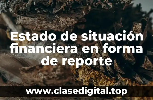 Estado de situación financiera en forma de reporte