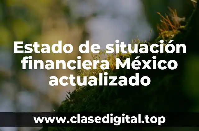 Estado de situación financiera México actualizado