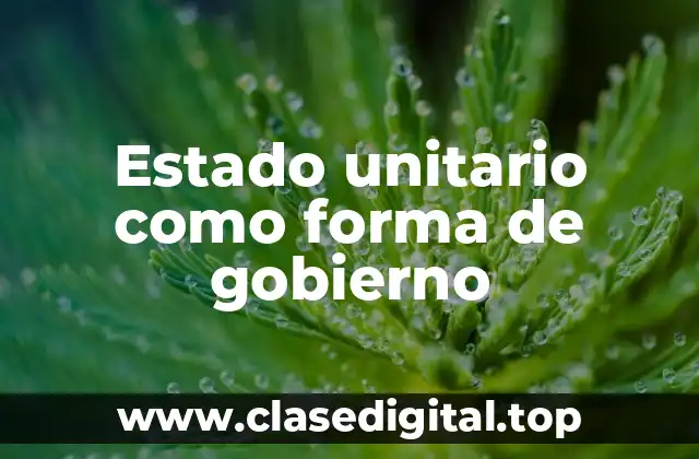 Estado unitario como forma de gobierno
