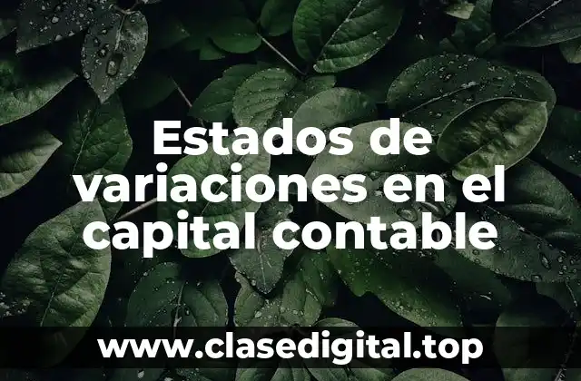 Estados de variaciones en el capital contable