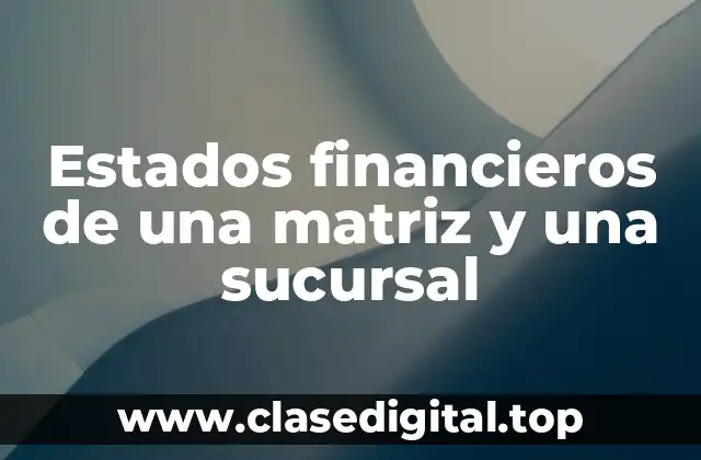 Ejemplos de estados financieros