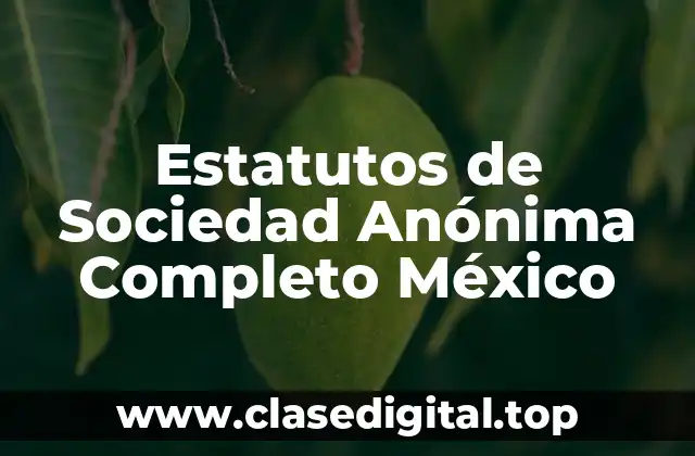 Estatutos de Sociedad Anónima Completo México