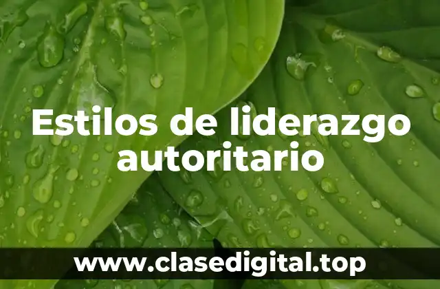 Estilos de liderazgo autoritario