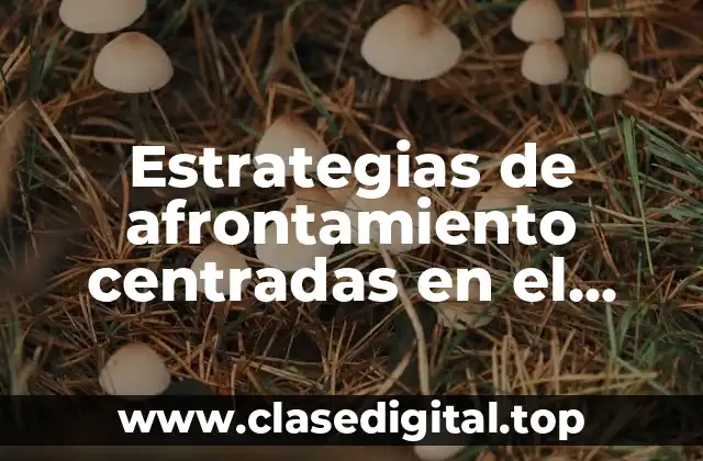 Estrategias de afrontamiento centradas en el problema