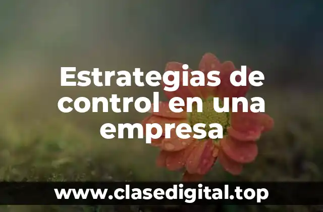 Estrategias de control en una empresa