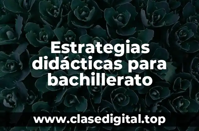 Estrategias didácticas para bachillerato