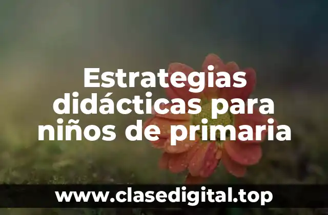 Ejemplos de estrategias didácticas