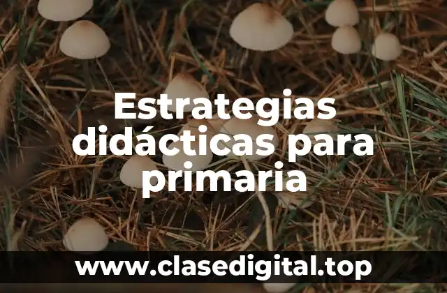 Estrategias didácticas para primaria