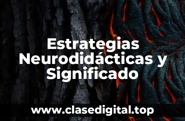 Estrategias Neurodidácticas y Significado