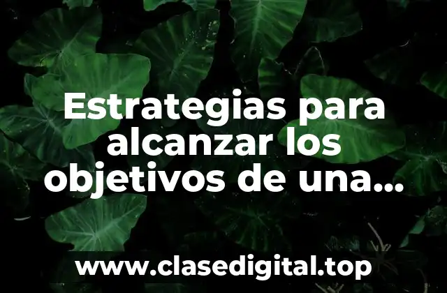 Estrategias para alcanzar los objetivos de una empresa y Significado