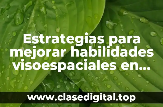 Estrategias para mejorar habilidades visoespaciales en niños y Significado