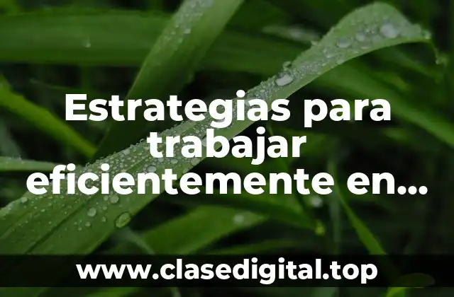 Estrategias para trabajar eficientemente en una empresa