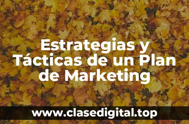 Ejemplos de estrategias y tácticas de un plan de marketing