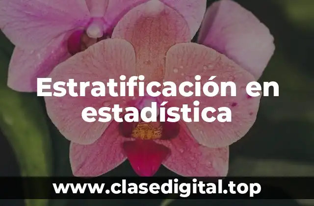 Estratificación en estadística
