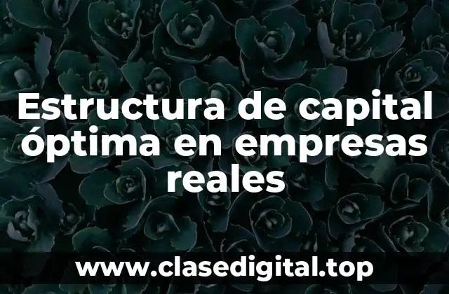 Estructura de capital óptima en empresas reales