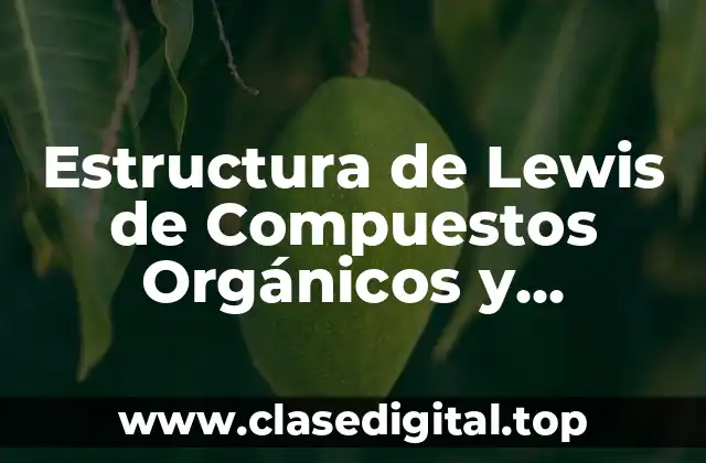 Estructura de Lewis de Compuestos Orgánicos y Significado