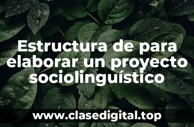 Estructura de para elaborar un proyecto sociolinguístico