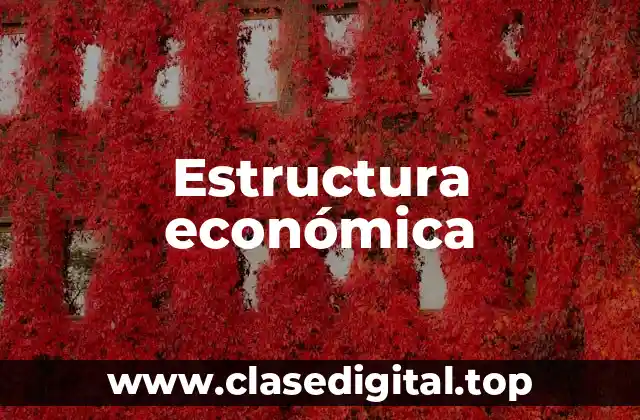 Ejemplos de estructura económica