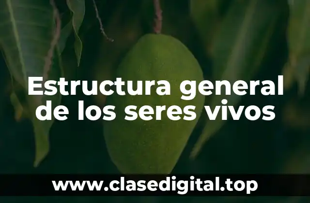 Estructura general de los seres vivos
