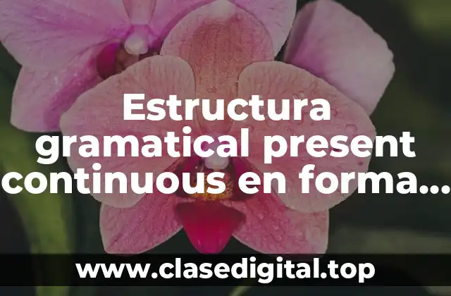 Ejemplos de estructura gramatical present continuous en forma afirmativa