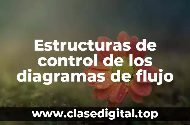 Estructuras de control de los diagramas de flujo