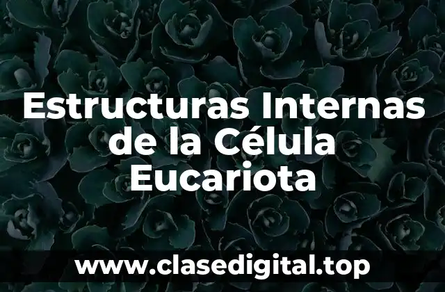 Estructuras Internas de la Célula Eucariota