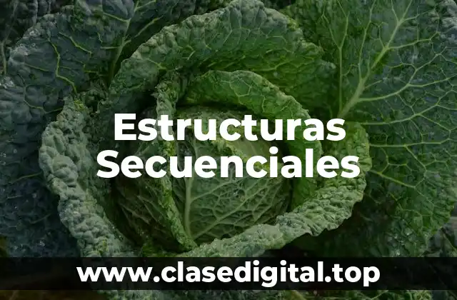 Estructuras Secuenciales