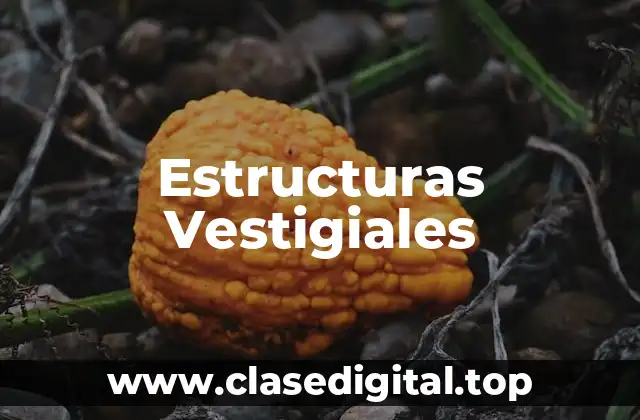 Estructuras Vestigiales