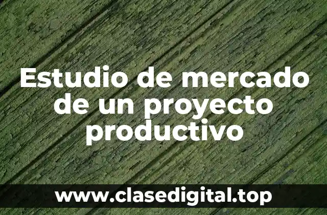 Estudio de mercado de un proyecto productivo
