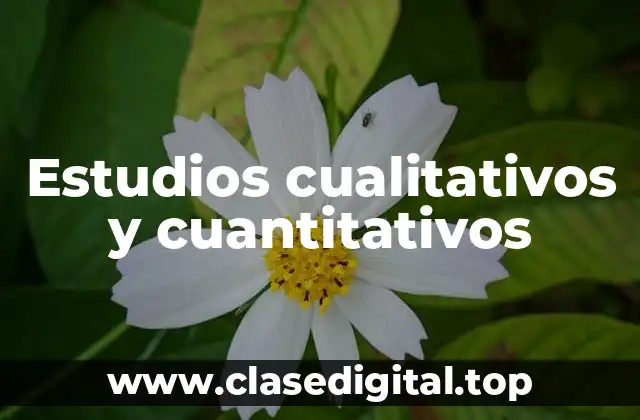 Estudios cualitativos y cuantitativos