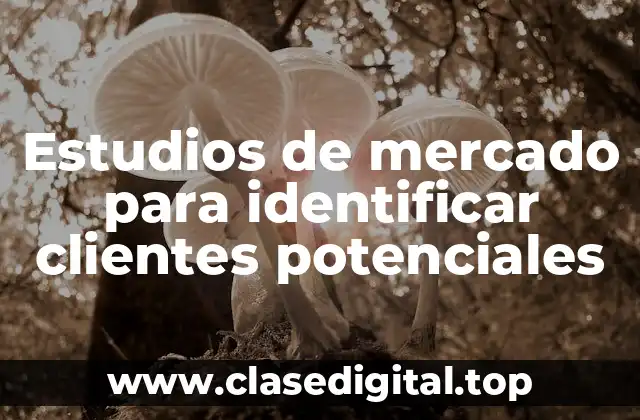 Estudios de mercado para identificar clientes potenciales