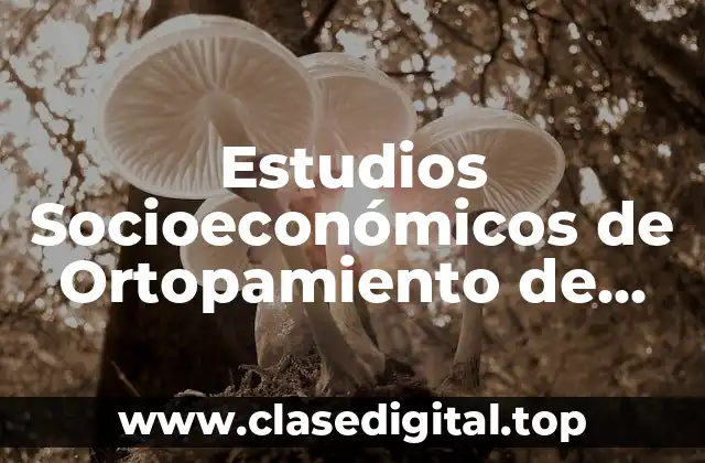 Estudios Socioeconómicos de Ortopamiento de Becas