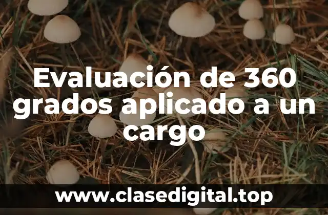 Ejemplos de evaluación de 360 grados