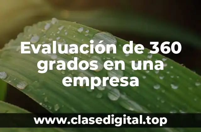 Evaluación de 360 grados en una empresa